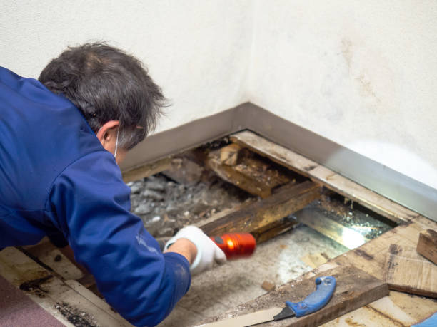 Water Damage Restoration in Nicholasville, KY