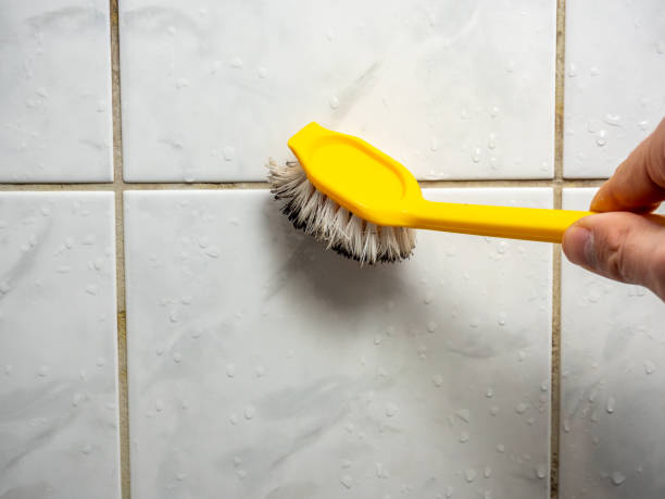 Best Best Mold Removal Companies  in Nicholasville, KY