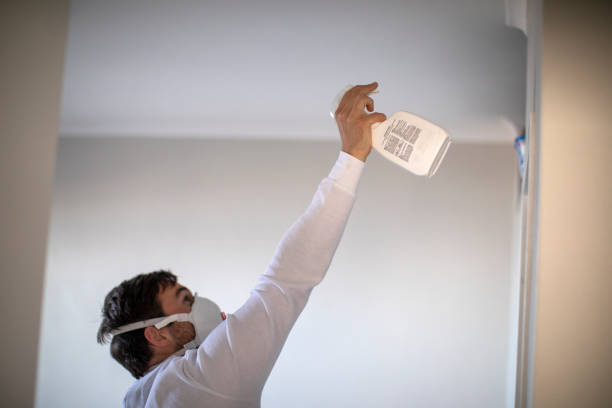 Best Local Mold Removal Service  in Nicholasville, KY