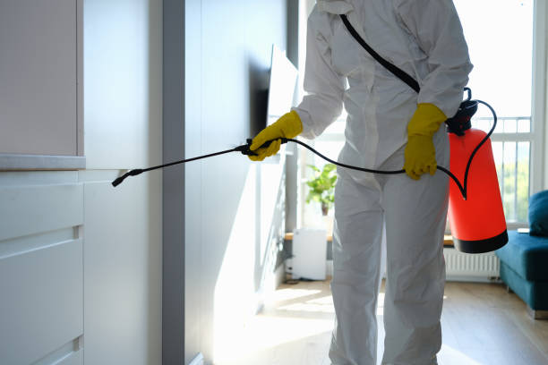 Best Certified Mold Removal  in Nicholasville, KY