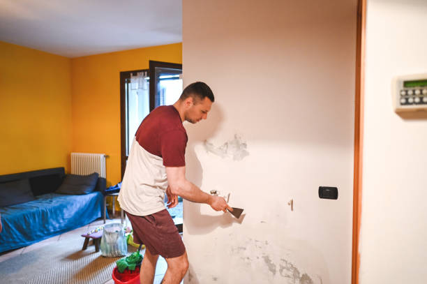 Best Residential Mold Removal  in Nicholasville, KY